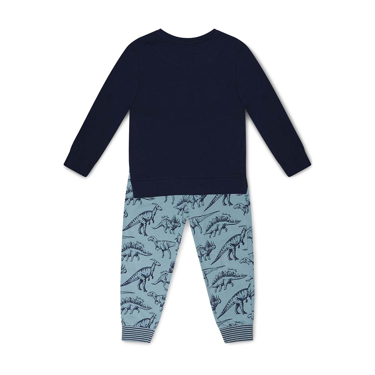 Jongens Verjaardag dinosaurus pyjama gepersonaliseerd Kleding Unisex kinderkleding Pyjamas & Badjassen Pyjama 